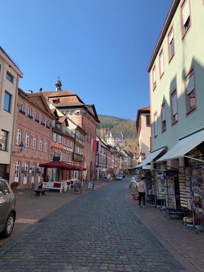 Ferienwohnung Am Brunnen Großheubach Εξωτερικό φωτογραφία